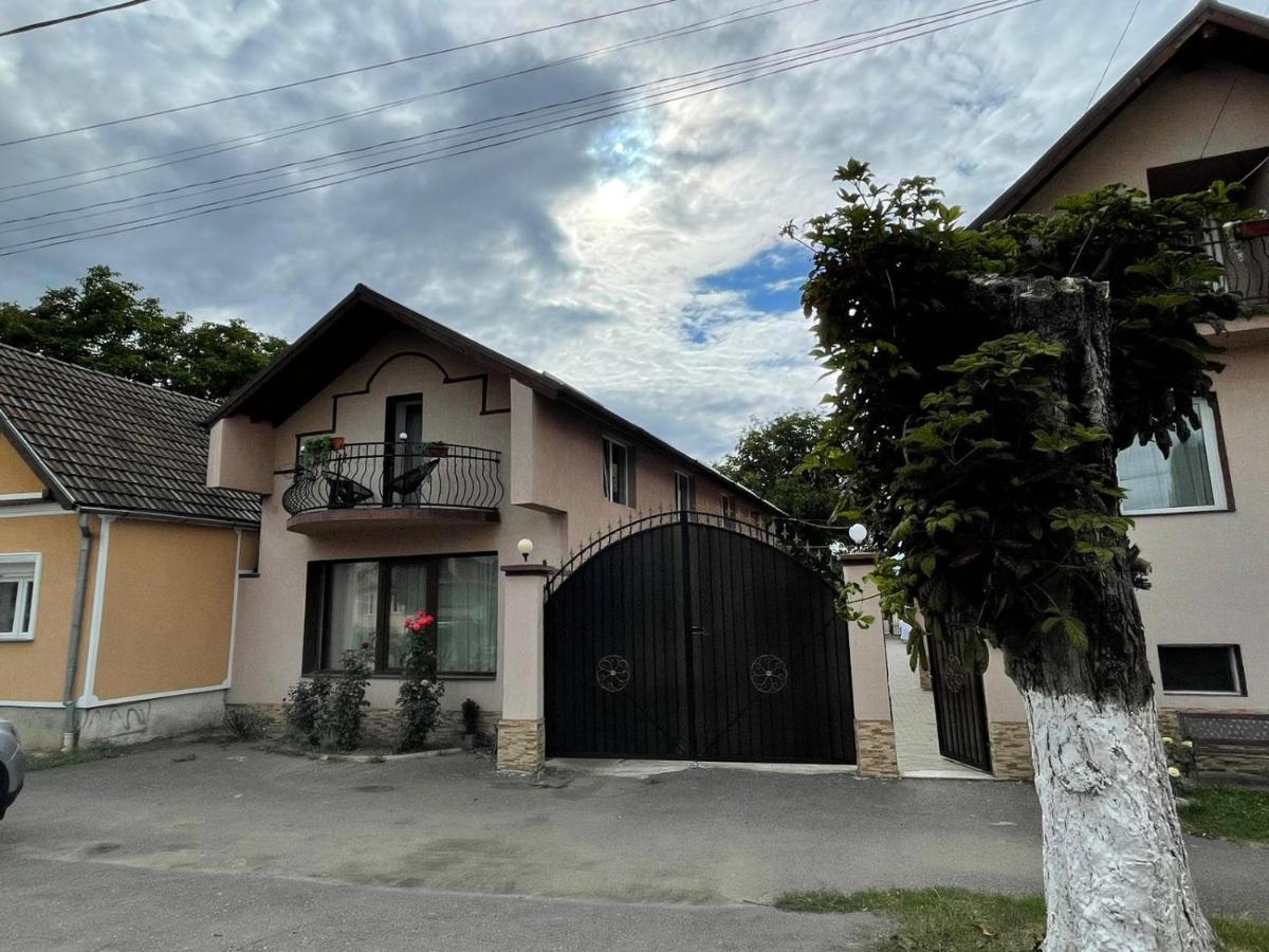 Casa Alegria Villa Prejmer Exterior photo